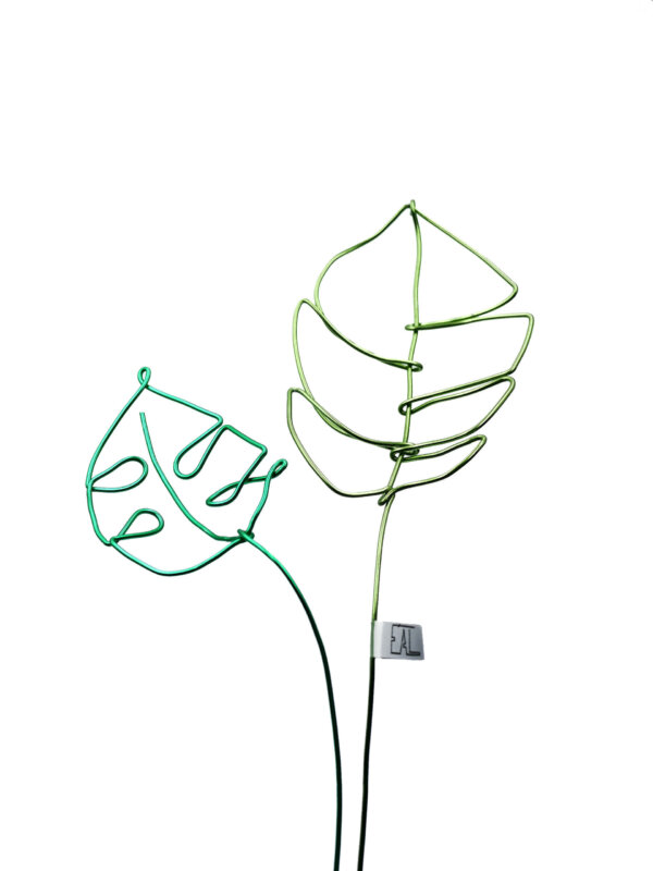 Fleurs éternelles | Monstera – Image 2