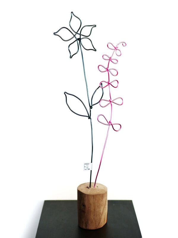 Fleurs éternelles | Orchidée