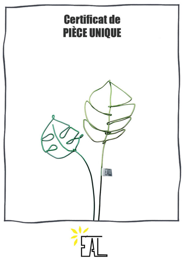 Fleurs éternelles | Monstera – Image 4