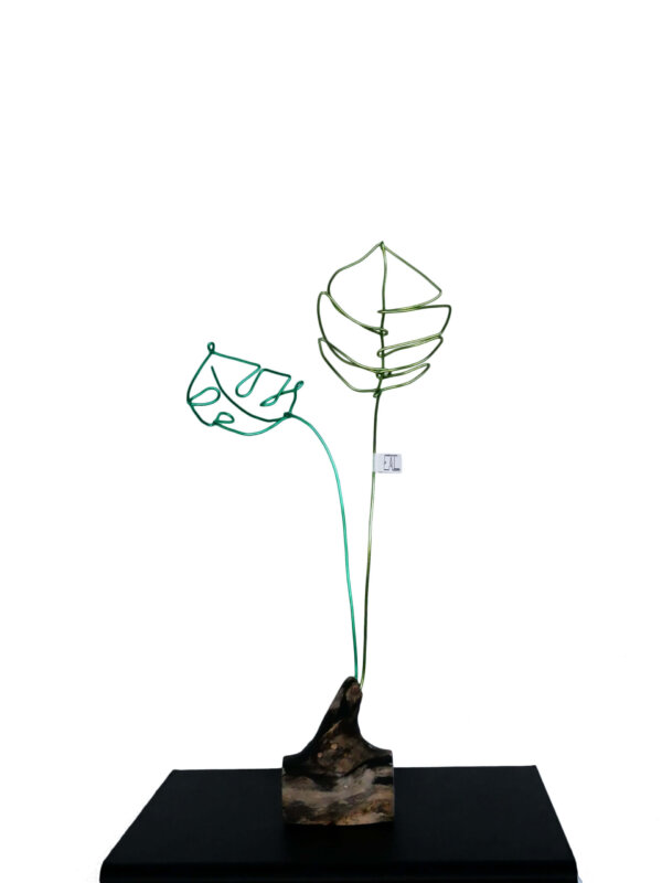 Fleurs éternelles | Monstera